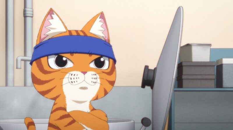 まるのじブログ | ラーメン赤猫 メインキャラクターの詳細まとめ!猫種や声優と過去を解説 ラーメン赤猫 アニメ公式より