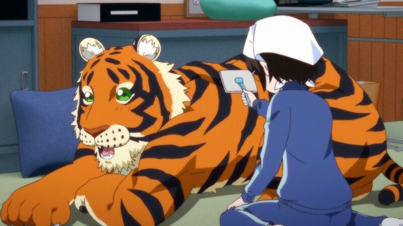 まるのじブログ | ラーメン赤猫 メインキャラクターの詳細まとめ!猫種や声優と過去を解説 ラーメン赤猫 アニメ公式より